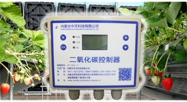 中國北方CO?新技術(shù)，將促進農(nóng)作物光合作用和光合產(chǎn)物的生成