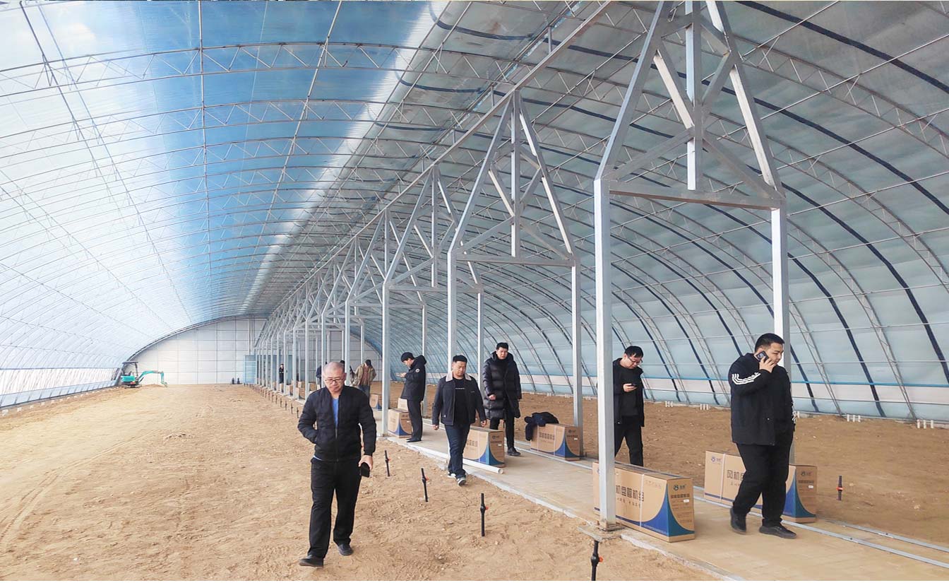 大路鎮(zhèn)苗家灘社區(qū)項目-智能溫室、日光溫室建設(shè)項目_09.jpg